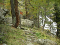 O106-ldp010-00-p1-160911-GZ