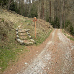 009-00