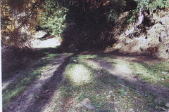 O109-ldp022-00-d01-pns8