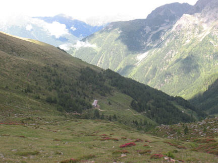 O109-Malga-Cercen-alta-170625-GZ