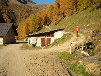 O109-Malga-Cercen-bassa-171016-GZ