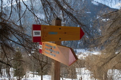 O109B-ldp007-00-d01-180220-TD