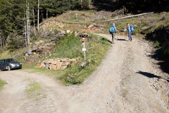 O110B-ldp002-00-p01-td-200806-4077-6