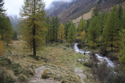 O110B-2012-10-11-ValPeio-Paludei-td370