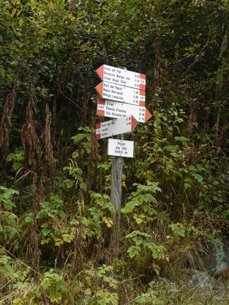 O113-ldp003-00-d1-101010-td (37 visite) O113-ldp003-00-d1-101010-td