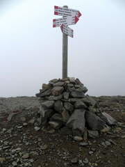 O113B-ldp001-00-p1-101010