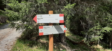 O114-ldp001-85-p01-20210603121340