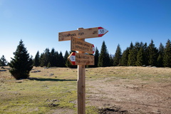 O114-07112020-td6641-49