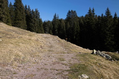 O114-17-07112020-td6660-68