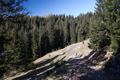 O114-21-07112020-td6655-63