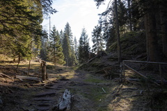 O114-25-14112020-td7218-204