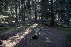 O114-27-14112020-td7213-199