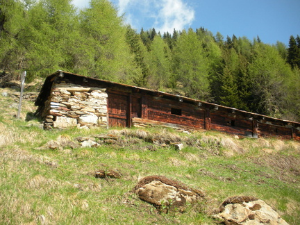 O116-Mandria-Saleci-alta-170528-GZ