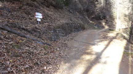 O117A-ldp004-00-p01-171119-ED