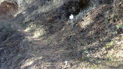 O117A-ldp006-00-p01-171119-ED