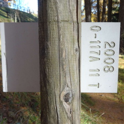 011-00