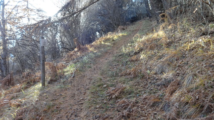 O117A-ldp016-00-p01-171119-ED