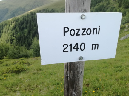 O117A-ldp029-00-d04-190829-AF