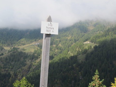 O117B-ldp004-00-d03-211010-EG