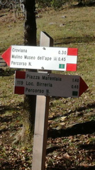 O119-ldp001-00-d01-201117-ED