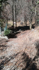 O119-ldp001-00-p01-201117-ED