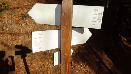 O119-ldp004-00-d02-171119-ED