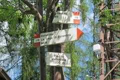 O119-ldp009-00-d01-220602-EG