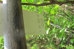 O119-ldp009-14-d02-220602-EG