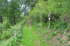 O119-ldp009-14-p01-220602-EG