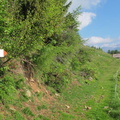 O119-ldp009-14-p03-220602-EG