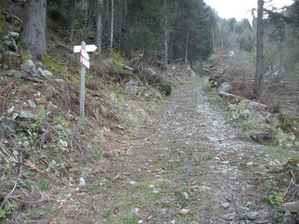 O120-ldp003-00-p02-190501-GZ