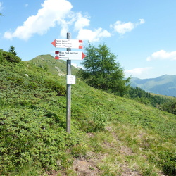 O120