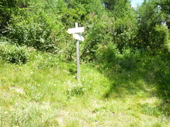 O120-ldp009-01-p2-130805