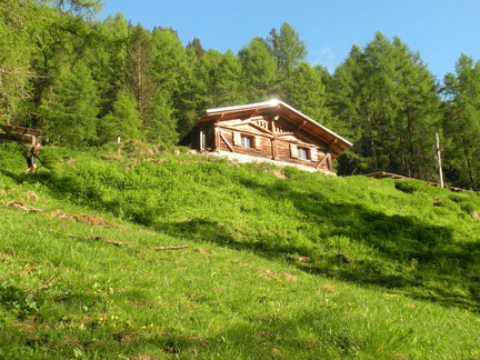 O120-Malga-Saleci-bassa-170528-GZ