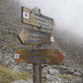 O122-ldp003-00-d01-pns5 (11 visite) O122-ldp003-00-d01-pns5