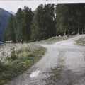 O125-ldp005-00-p01-pns3