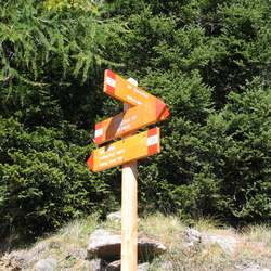 003-00