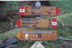 O127-ldp010-00-p01-pns4