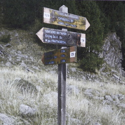 O129