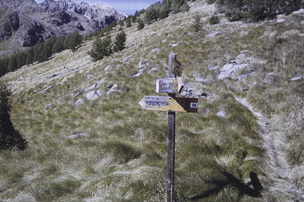 O129-ldp006-00-d01-pns6