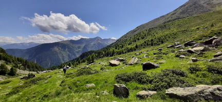 O129-20210729-134841