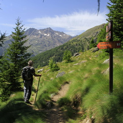 sentiero