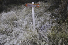 O129B-ldp003-00-d01-pns59