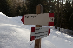 O132-ldp004-00-d01-180220-TD