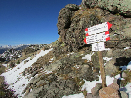 O133-ldp001-00-cc-13111424