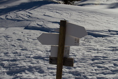 O133-ldp008-00-72