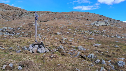 O133ldp016-00-p01-20251026-CR