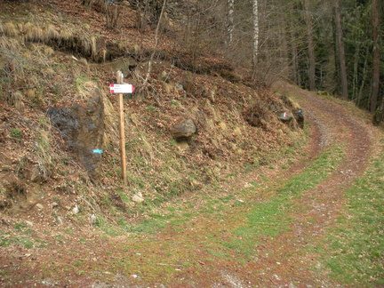 O133-ldp029-01-p1-120405-GZ