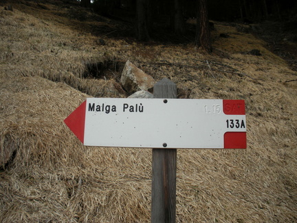 O133A-ldp004-00-d1-120409-GZ