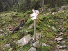 O134-ldp007-00-d01-140818-AT